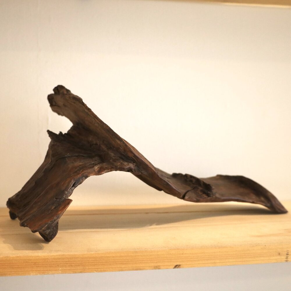 Dark Driftwood